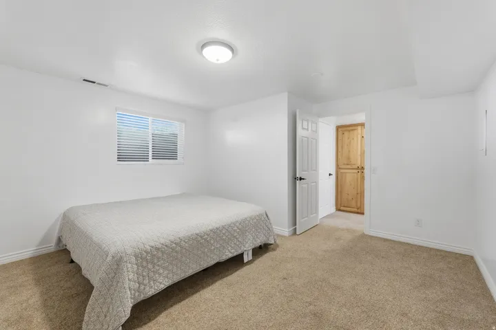 Carpeted flooring, white interior walls, white window blinds, flush mount ceiling light, and a wooden paneled door