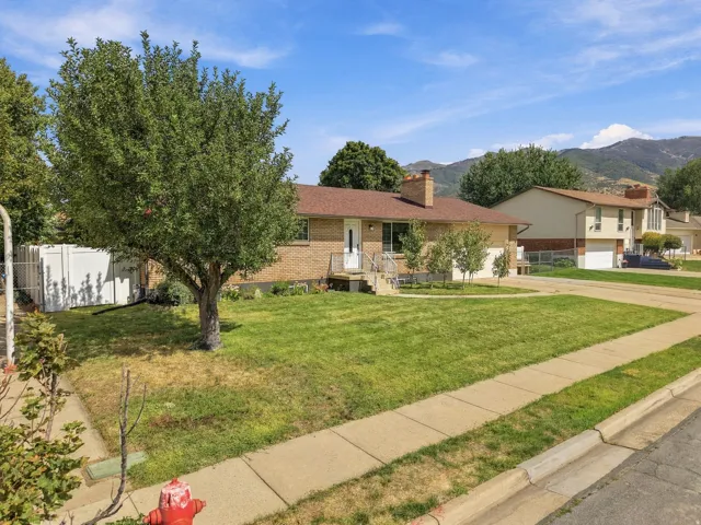 Brick exterior with a brown shingle roof, mature front yard tree, and concrete walkway