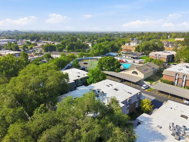 Aerial perspective