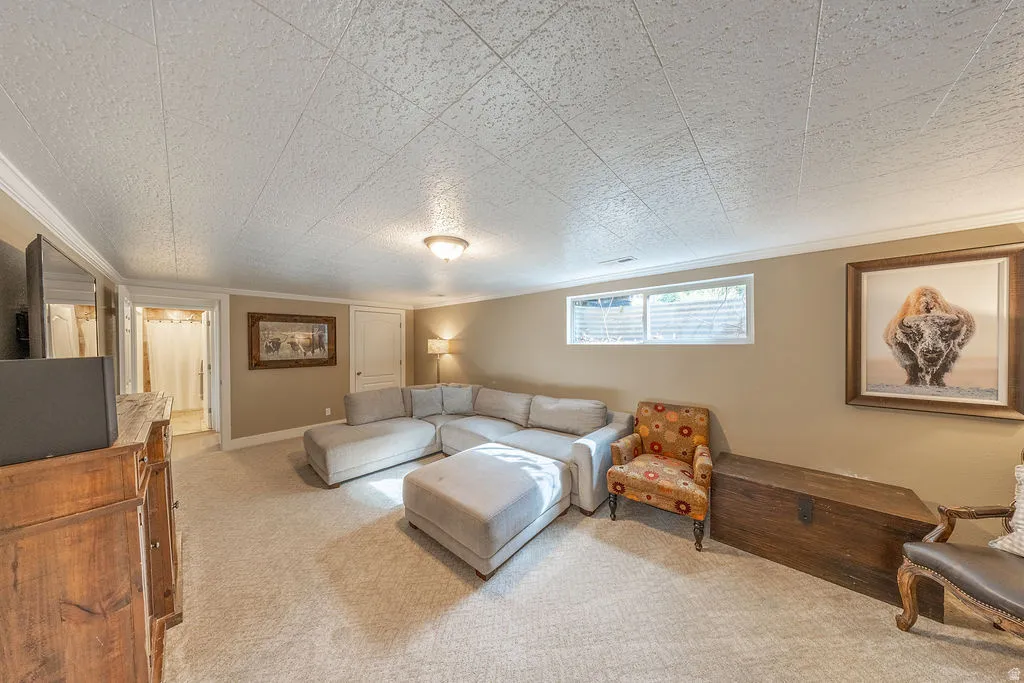 Carpeted living area with neutral wall tones, white trim, and a drop ceiling