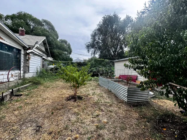 Backyard with mature trees, raised garden beds, a young fruit tree, and a detached shed
