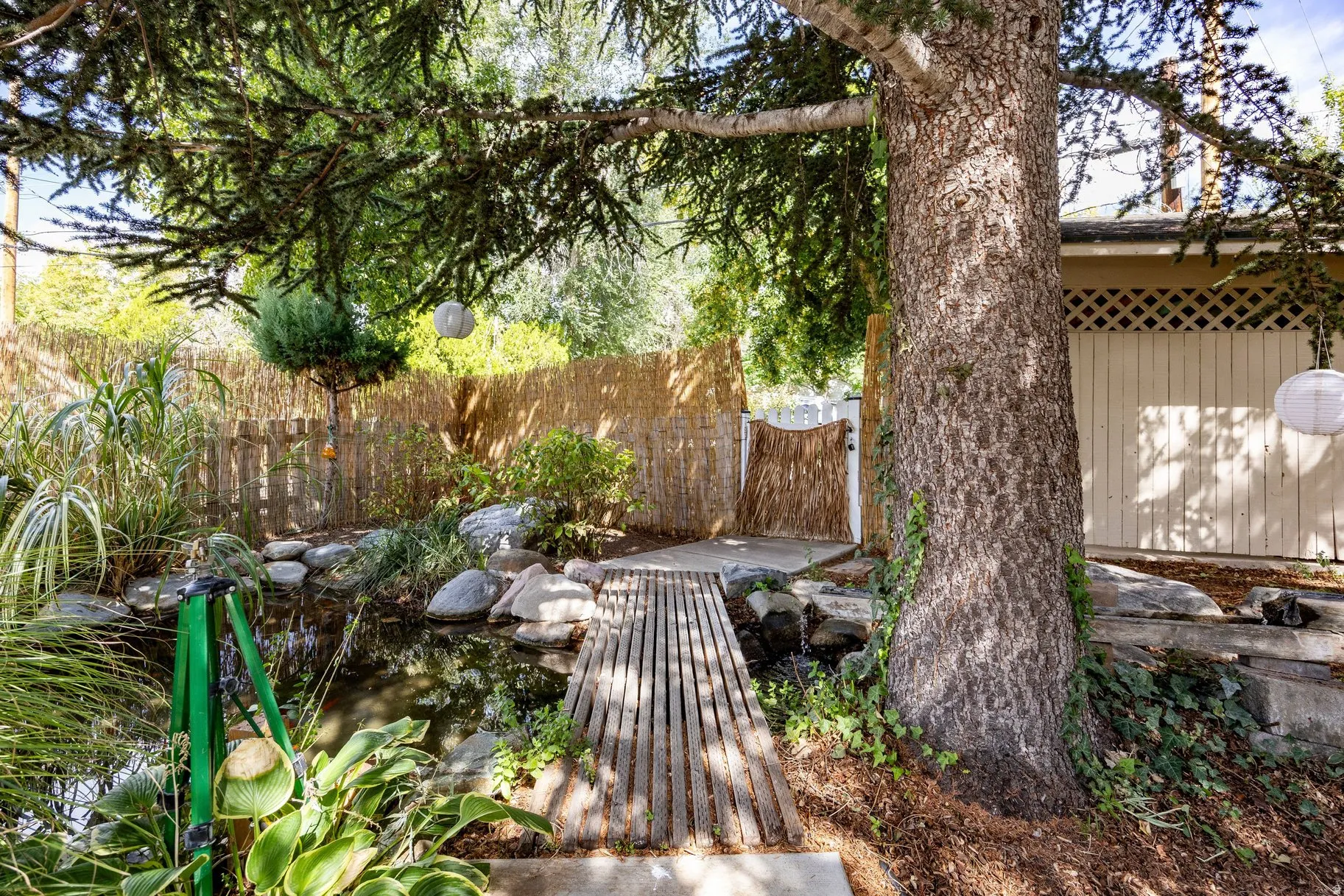 Expansive backyard featuring a large mature tree, a tranquil pond with surrounding rocks, a wood plank bridge, and a natural wood fence with a lattice gate