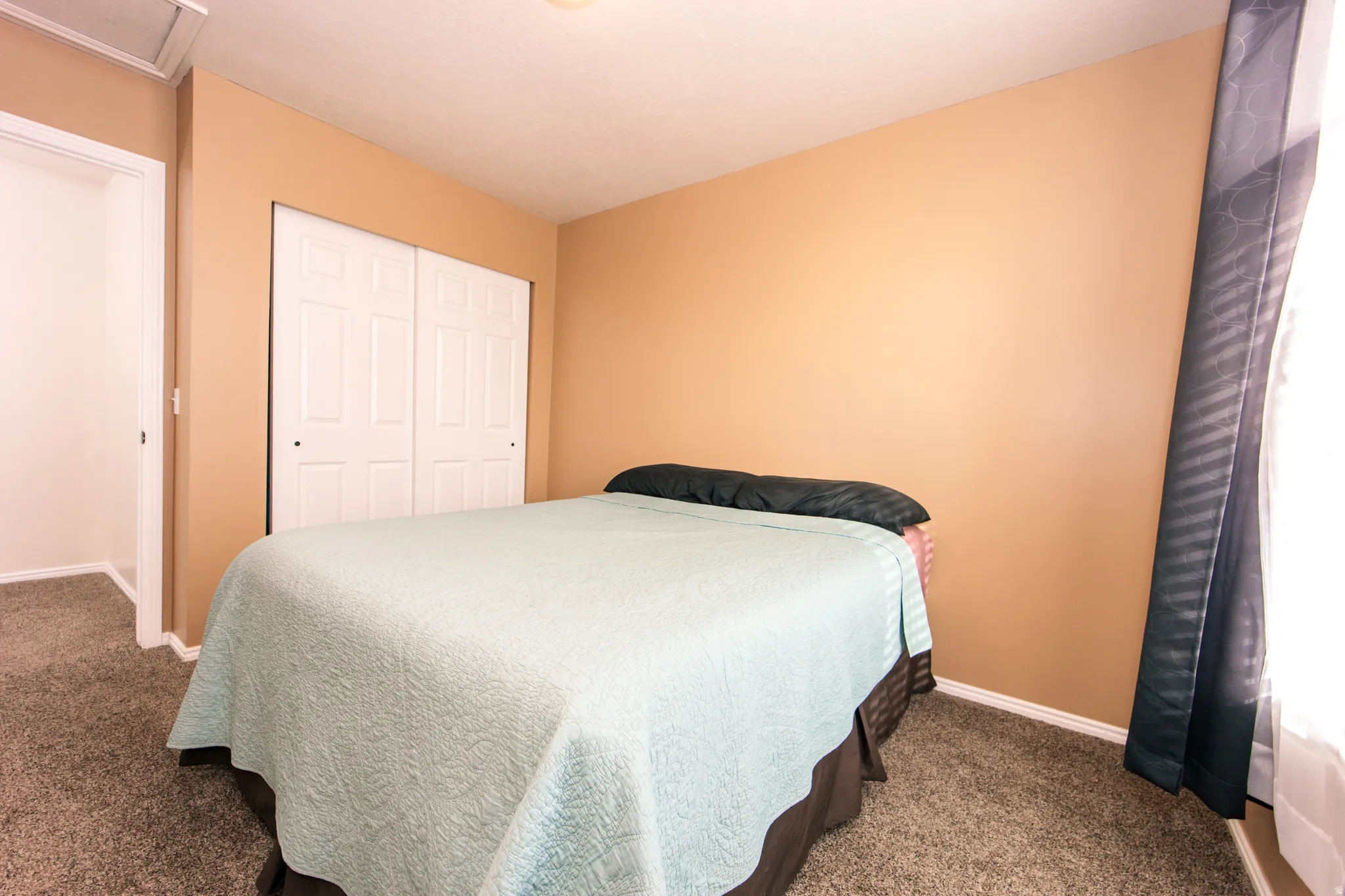Soft-toned wall paint and textured carpeting