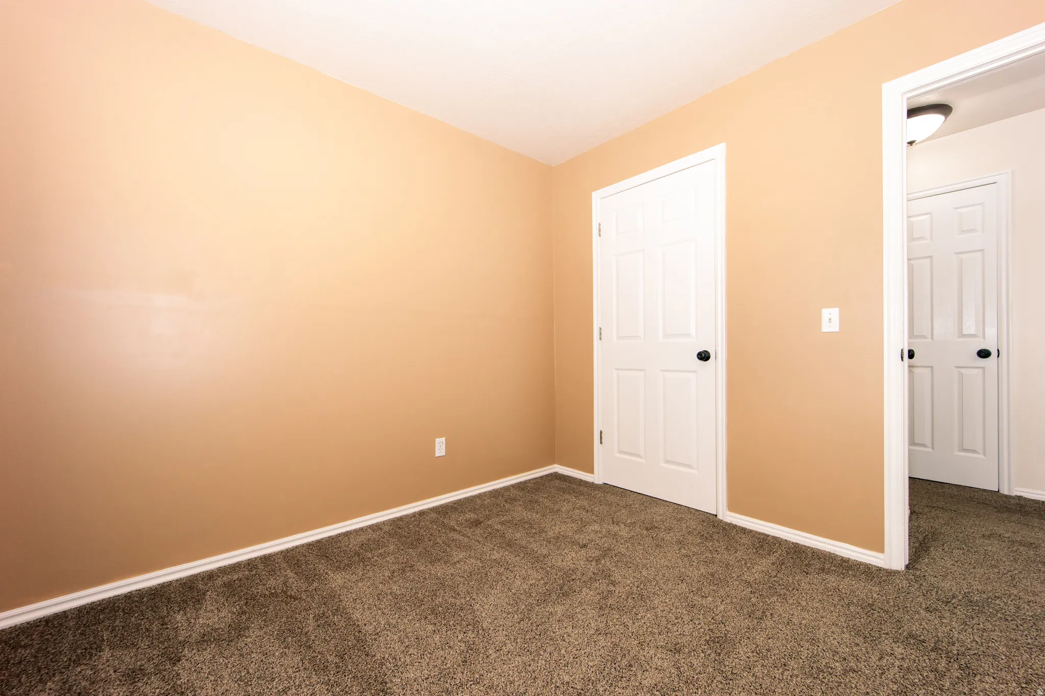 Neutral wall paint, plush carpet flooring, white trim, and white paneled doors