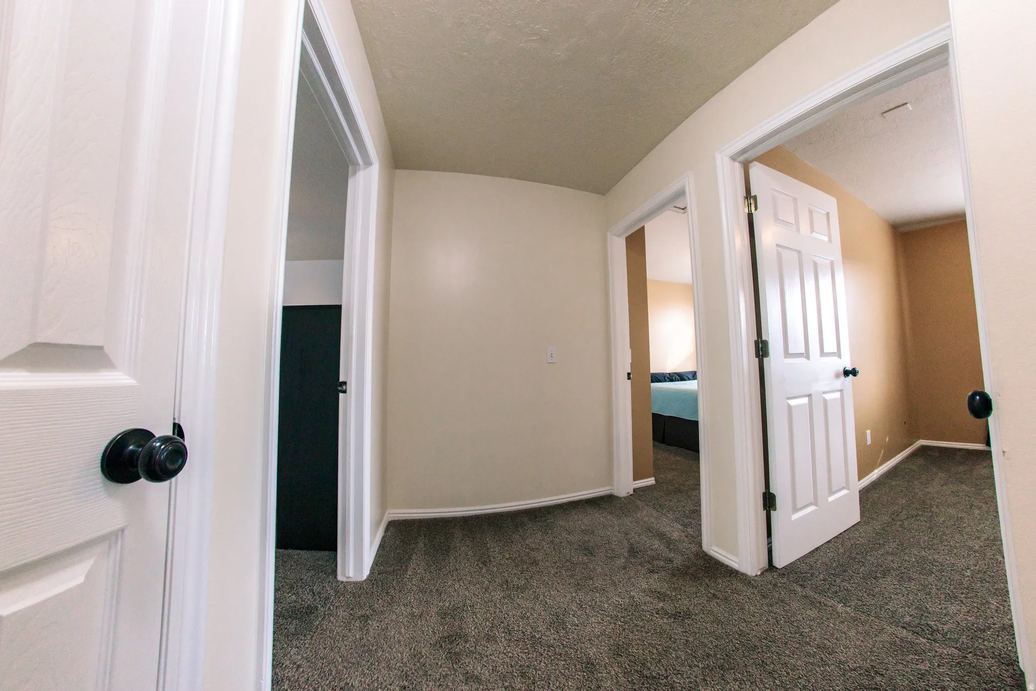 Carpeted hallway with painted walls and multiple paneled doors featuring black hardware