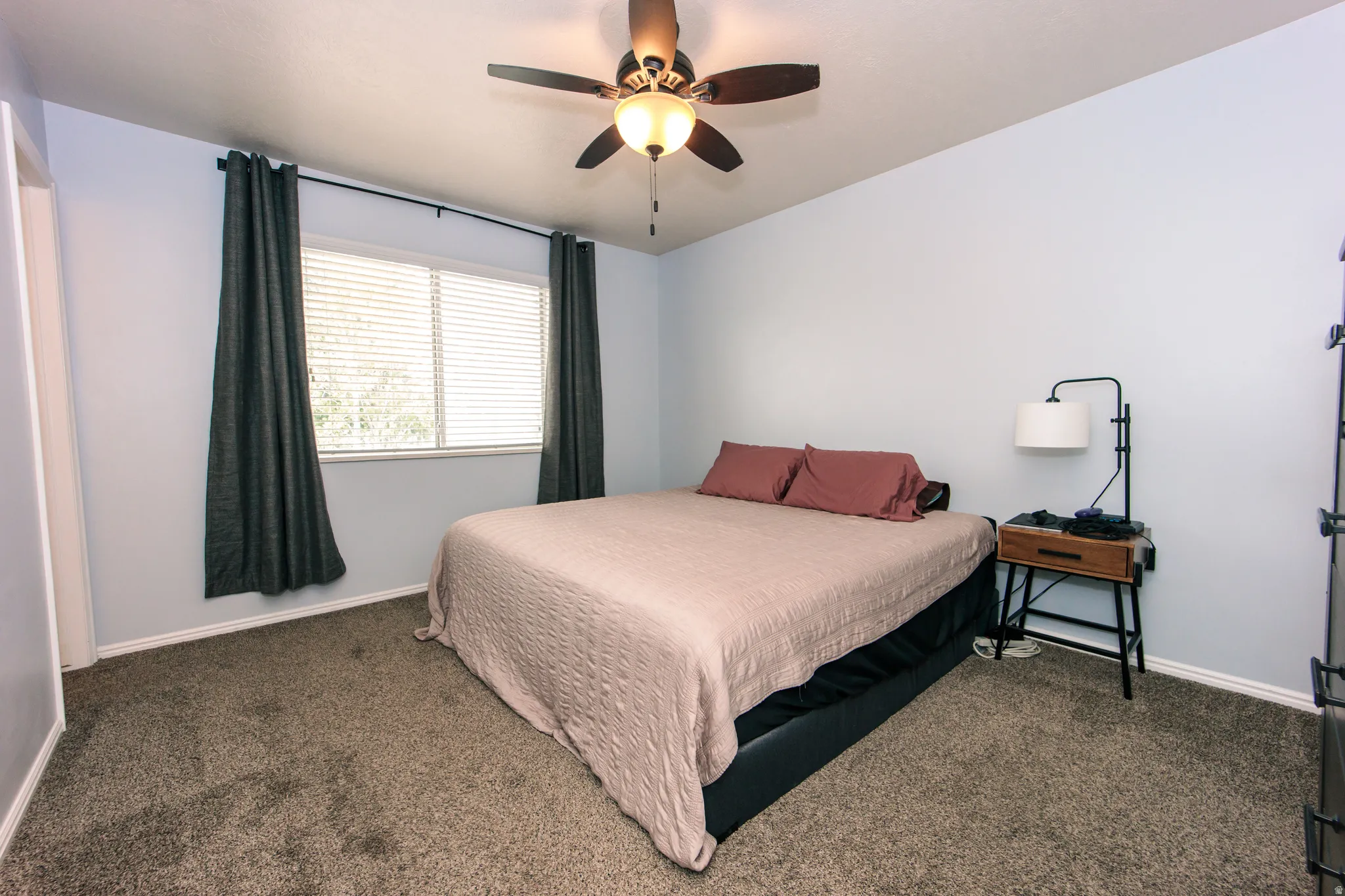 Carpeted room featuring a ceiling fan with light fixture, a window with horizontal blinds, and light blue walls