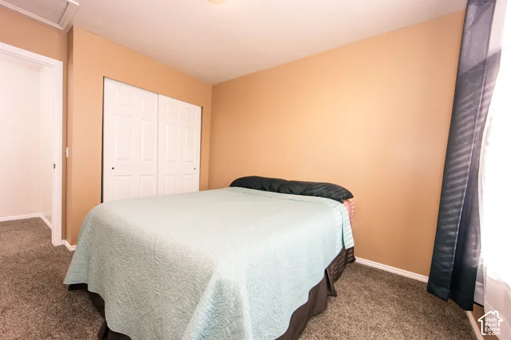 Soft-toned wall paint and textured carpeting