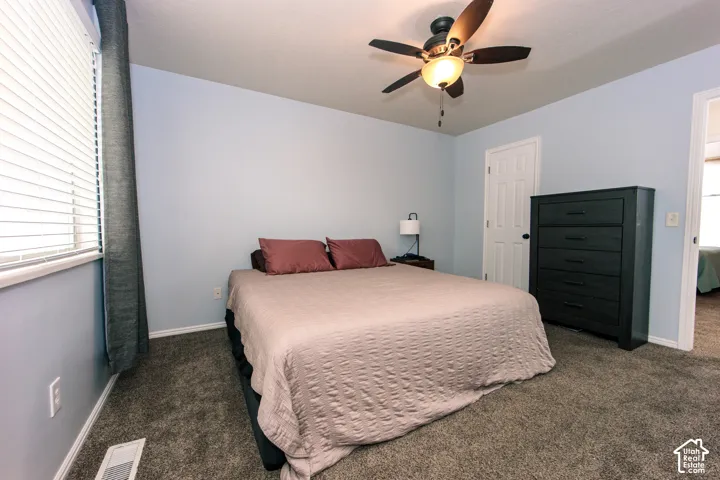 Plush carpeting and a window with blinds provide comfort