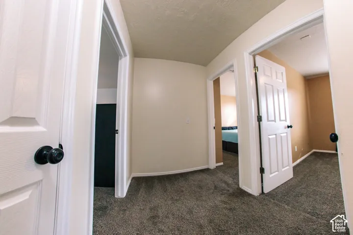 Carpeted hallway with painted walls and multiple paneled doors featuring black hardware