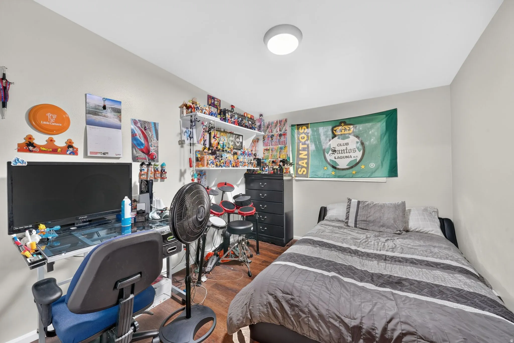 Hardwood-finish flooring, built-in shelving, white walls, and a ceiling-mounted light fixture