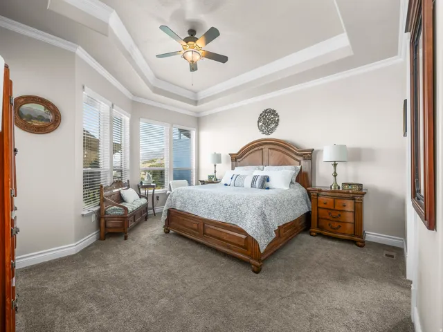 Tray ceiling with crown molding, ceiling fan, and large windows with blinds