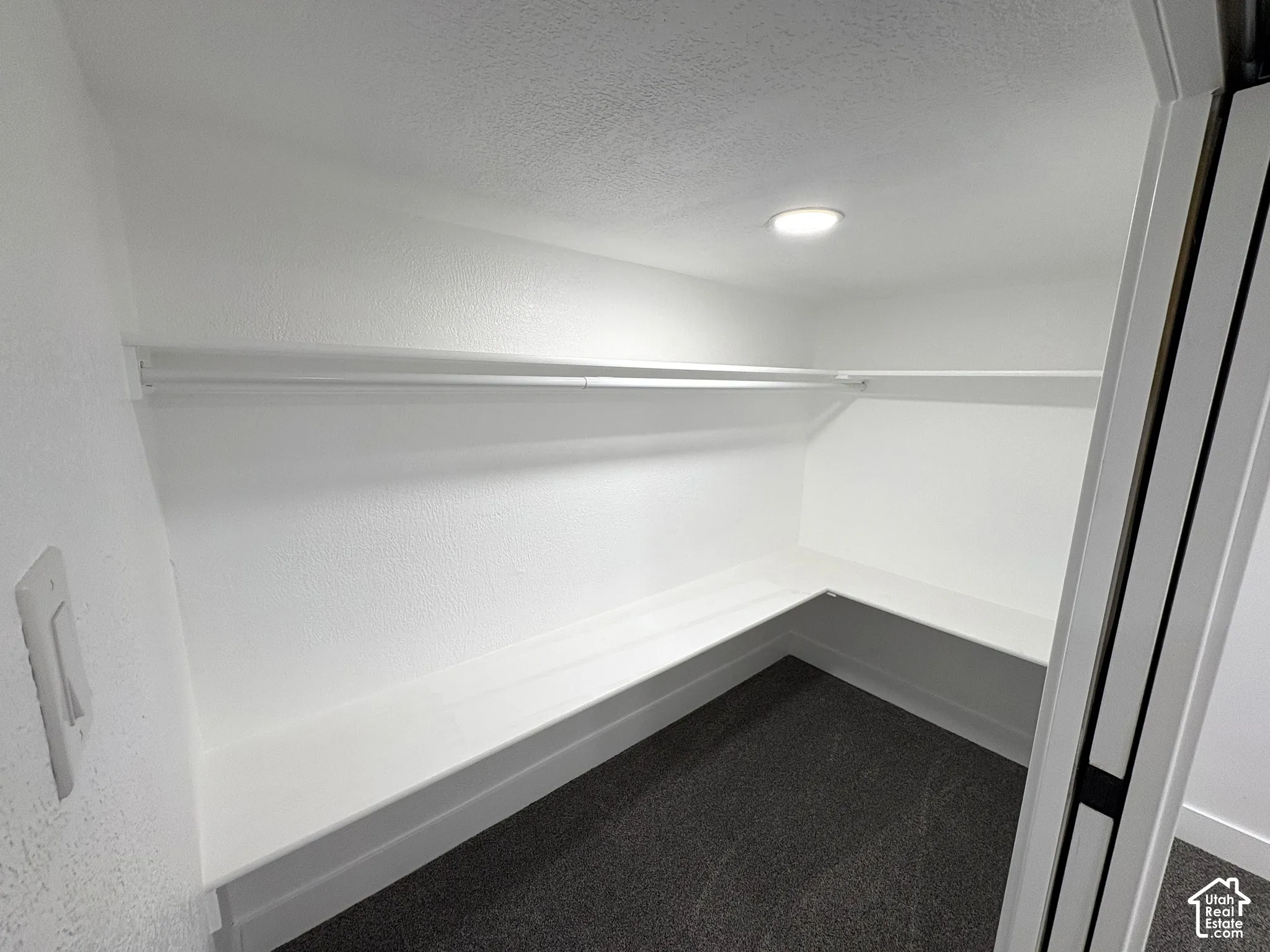 Built-in shelving, hanging rod, recessed lighting, and dark-toned carpeting