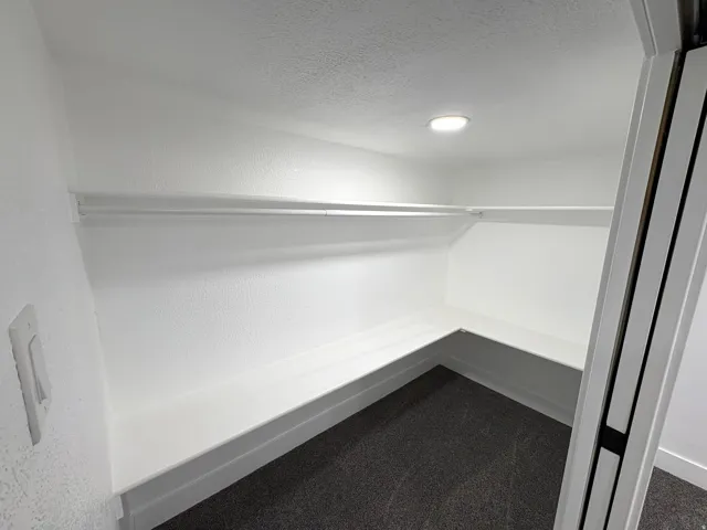 Built-in shelving, hanging rod, recessed lighting, and dark-toned carpeting