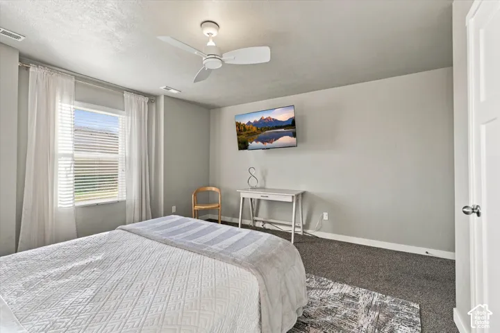 Carpeted flooring with a contrasting area rug, light-colored walls, a ceiling fan, and a single window with blinds