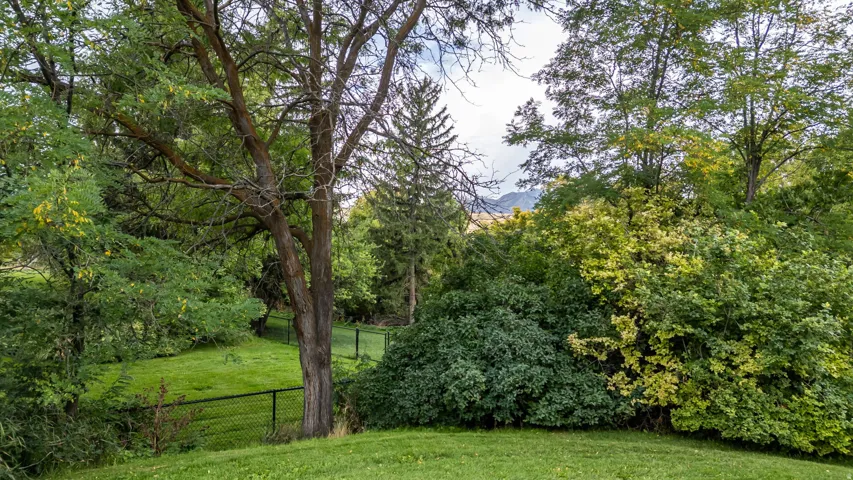 Expansive green space featuring mature trees, diverse foliage, and a black chain link fence