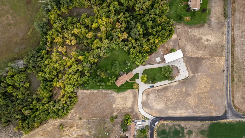 Expansive lot with lush green trees, a paved driveway, and a large outbuilding