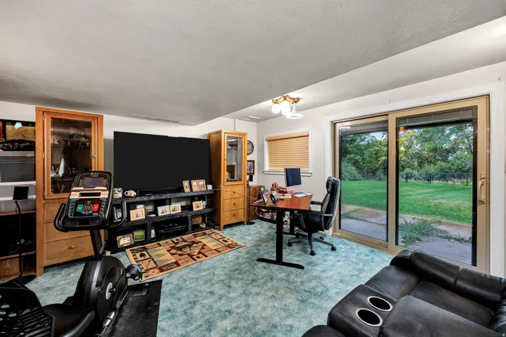 Sliding glass door, light-colored walls, ceiling-mounted lighting fixture, window with blinds, and green flooring