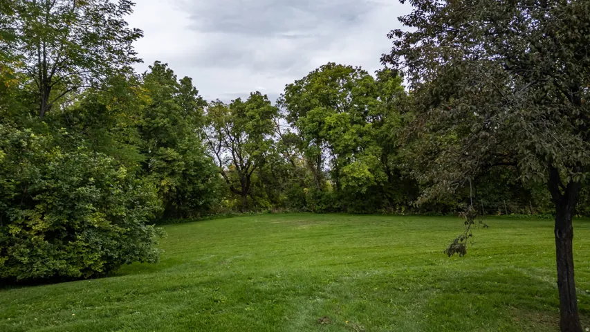 Expansive lawn area surrounded by mature trees and varied foliage