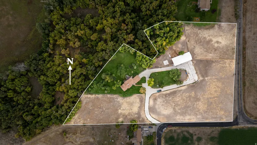 Expansive property featuring a private driveway, detached structure, and mature perimeter trees