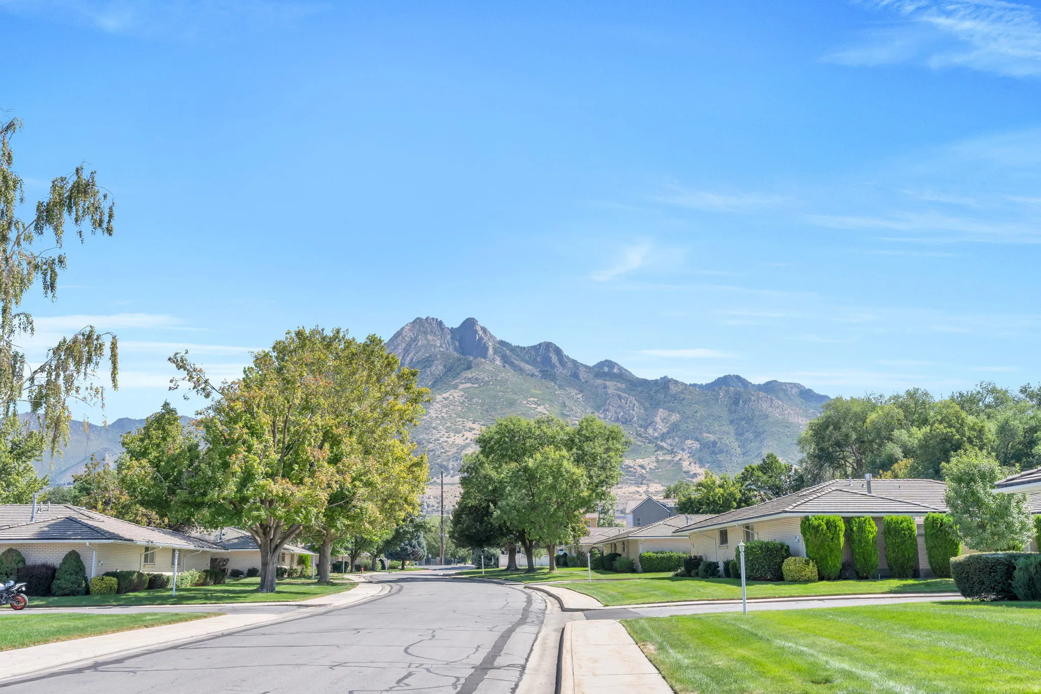 Mountain backdrop, tree-lined street, manicured lawns, mature landscaping, sidewalk