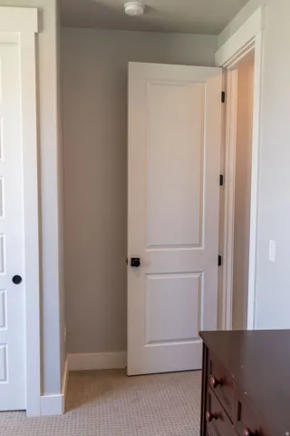 White paneled doors with matte black hardware, neutral wall paint, and patterned carpet
