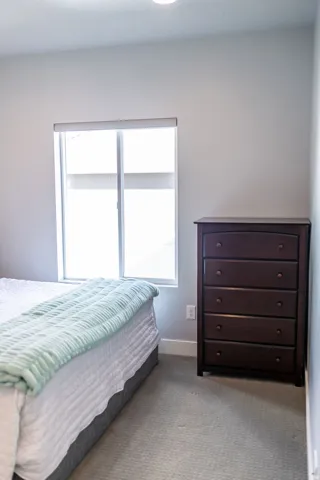 Window with roller shades, recessed ceiling lighting, and carpeted flooring