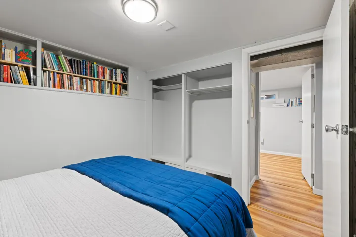 Built-in shelving, integrated closet storage, and a flush-mount ceiling light