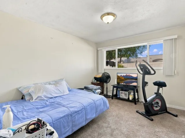 Carpeted room featuring a multi-pane window with blinds, a ceiling-mounted light fixture, and a closet with bi-fold doors
