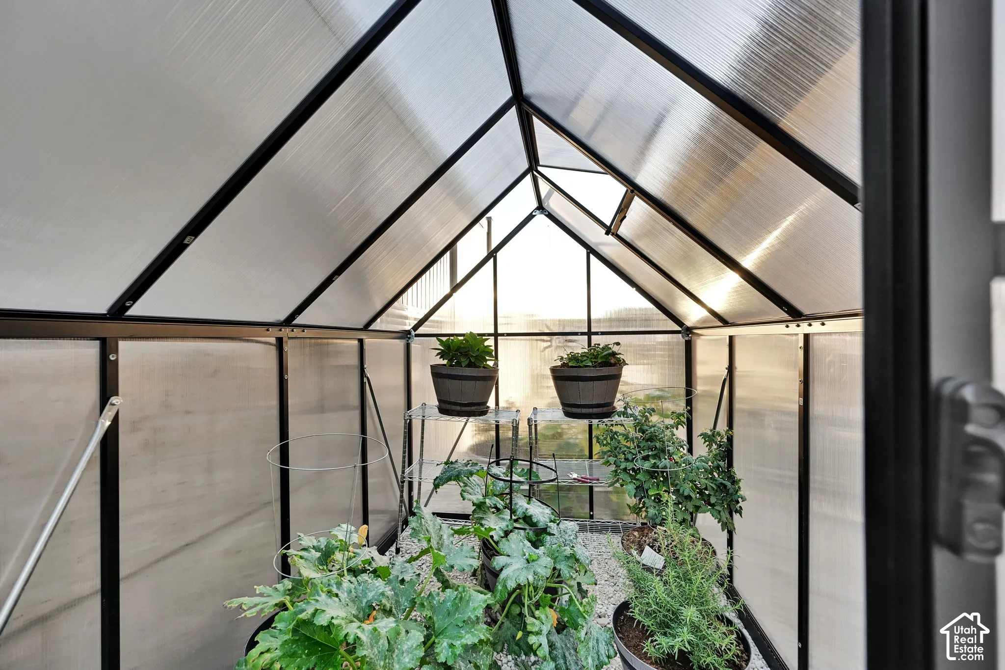 Greenhouse structure with translucent panels, black framing, and an integrated roof vent
