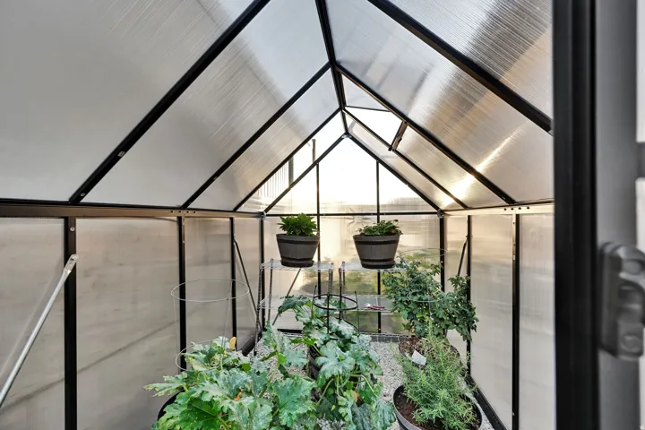 Greenhouse structure with translucent panels, black framing, and an integrated roof vent