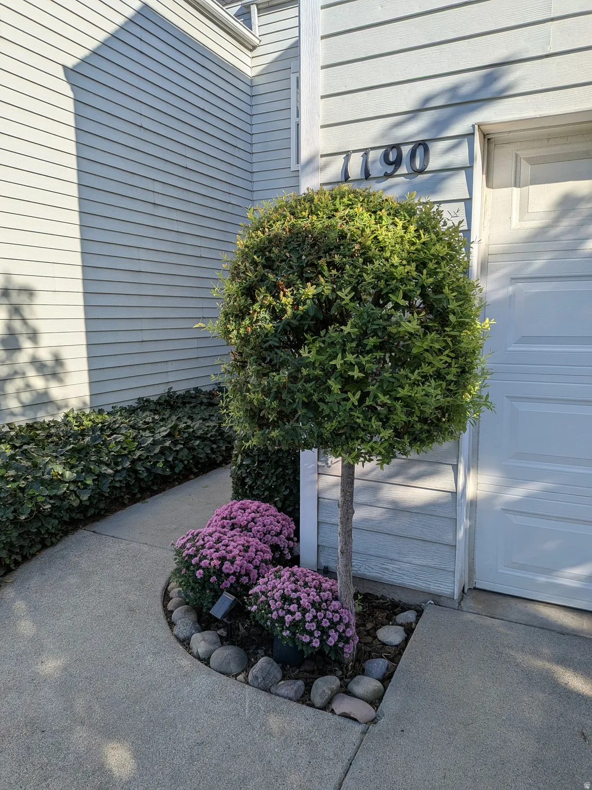 Siding exterior with a clean garage door, concrete walkway, and landscaped planting area featuring a topiary and flowering plants
