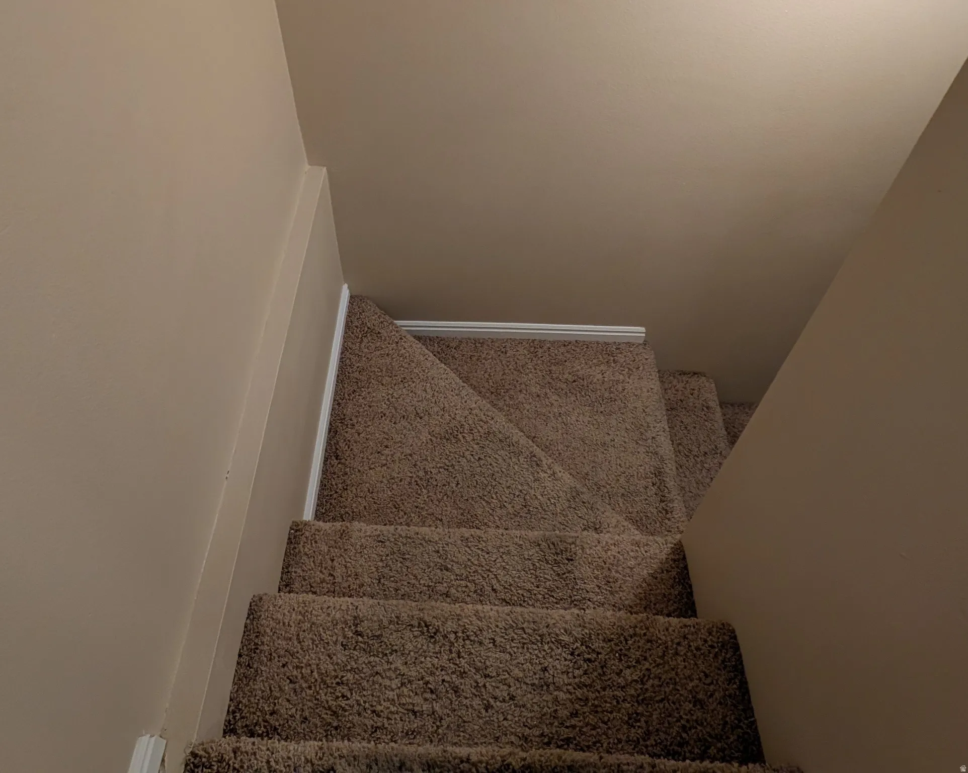 Carpeted staircase with light beige walls heading to basement