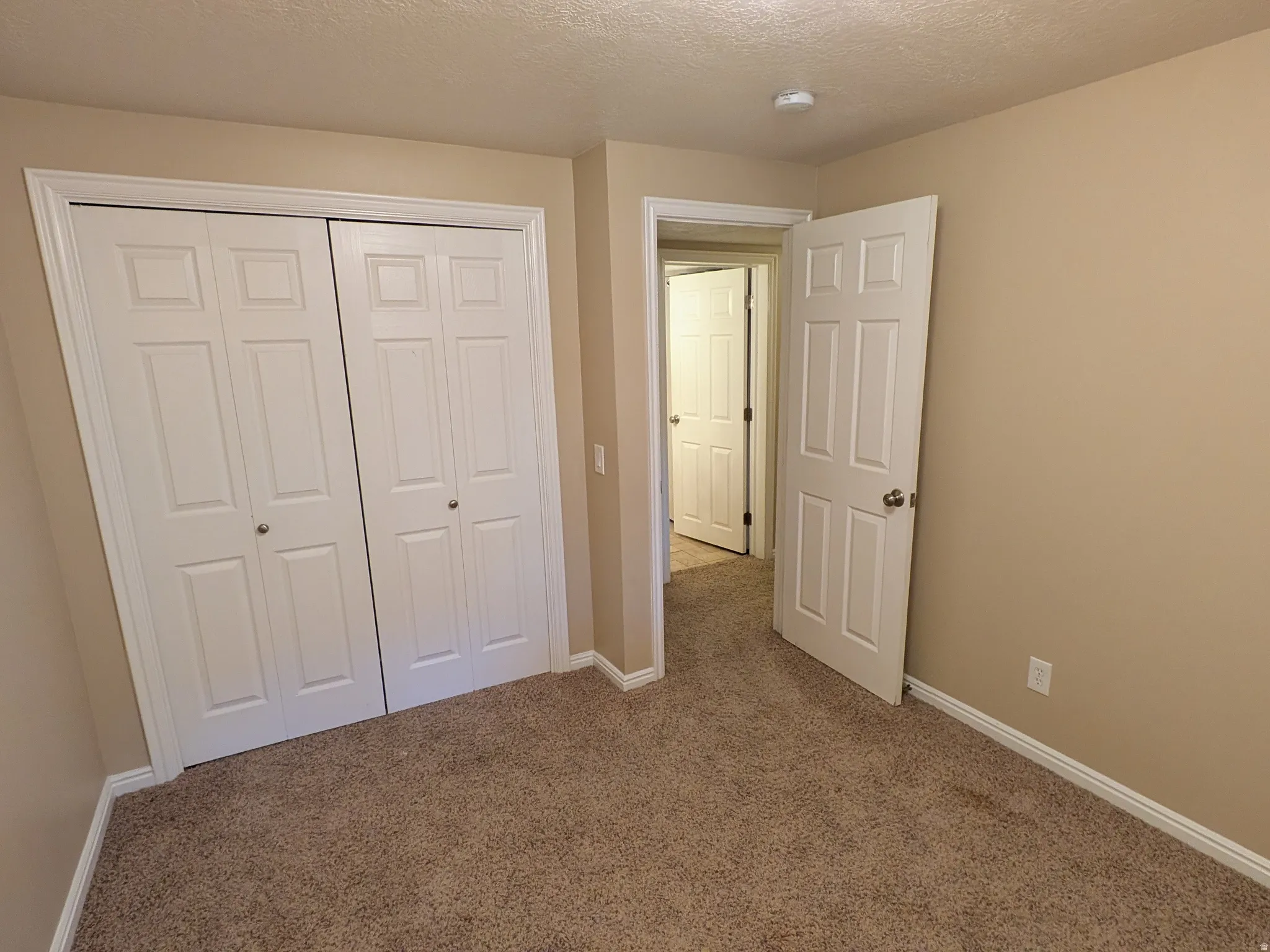 Neutral tone wall paint, textured ceiling, light brown carpet, white panel doors, and white trim