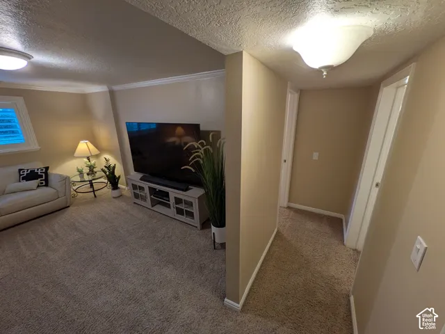 Carpeted flooring throughout, recessed window, crown molding, and flush-mount lighting fixtures