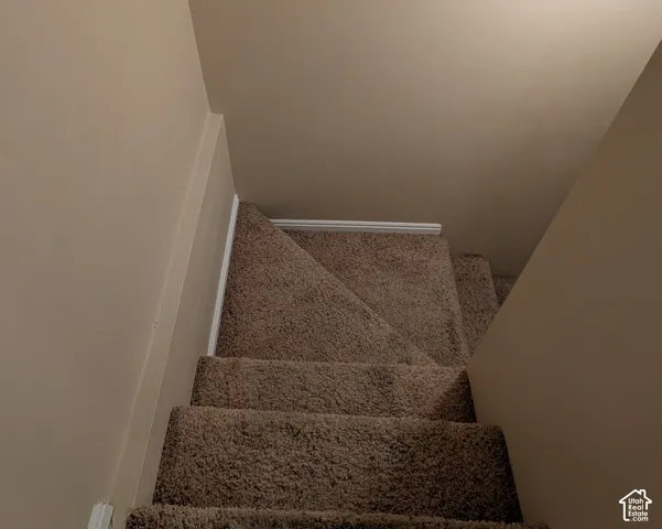 Carpeted staircase with light beige walls heading to basement