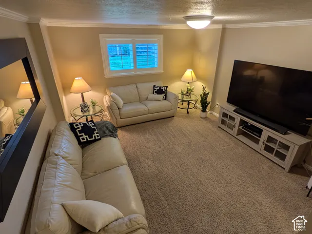 Carpeted living area with crown molding, a window with plantation shutters