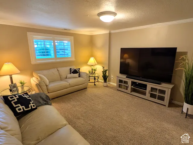 Plush carpeting, crown molding, and a built-in media console with glass-front doors