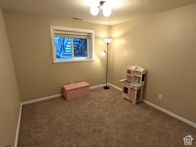 Carpeted room featuring a window with white trim, tan wall paint, and a ceiling-mounted light fixture