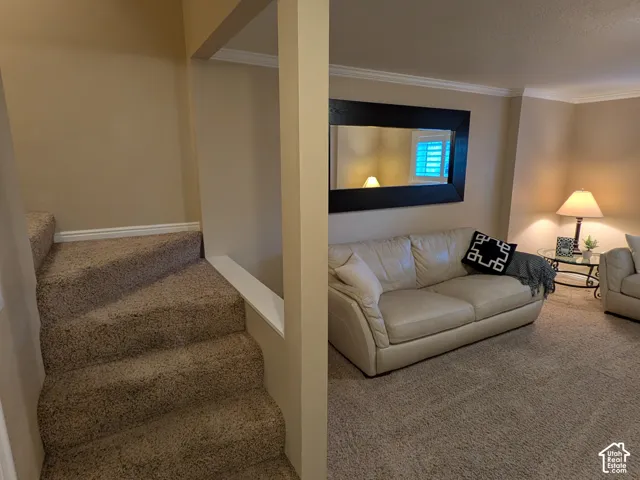 Carpeted staircase leading to a landing with a half-wall and crown molding