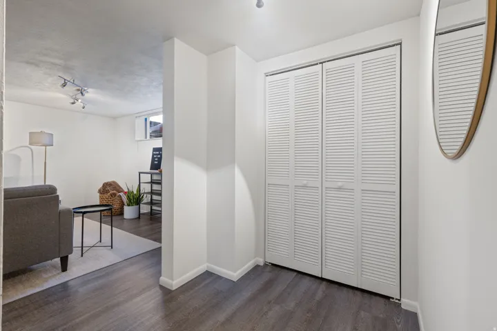 Dark wood-finish flooring extending into a bright living space, complemented by crisp white walls and white louvered bifold doors