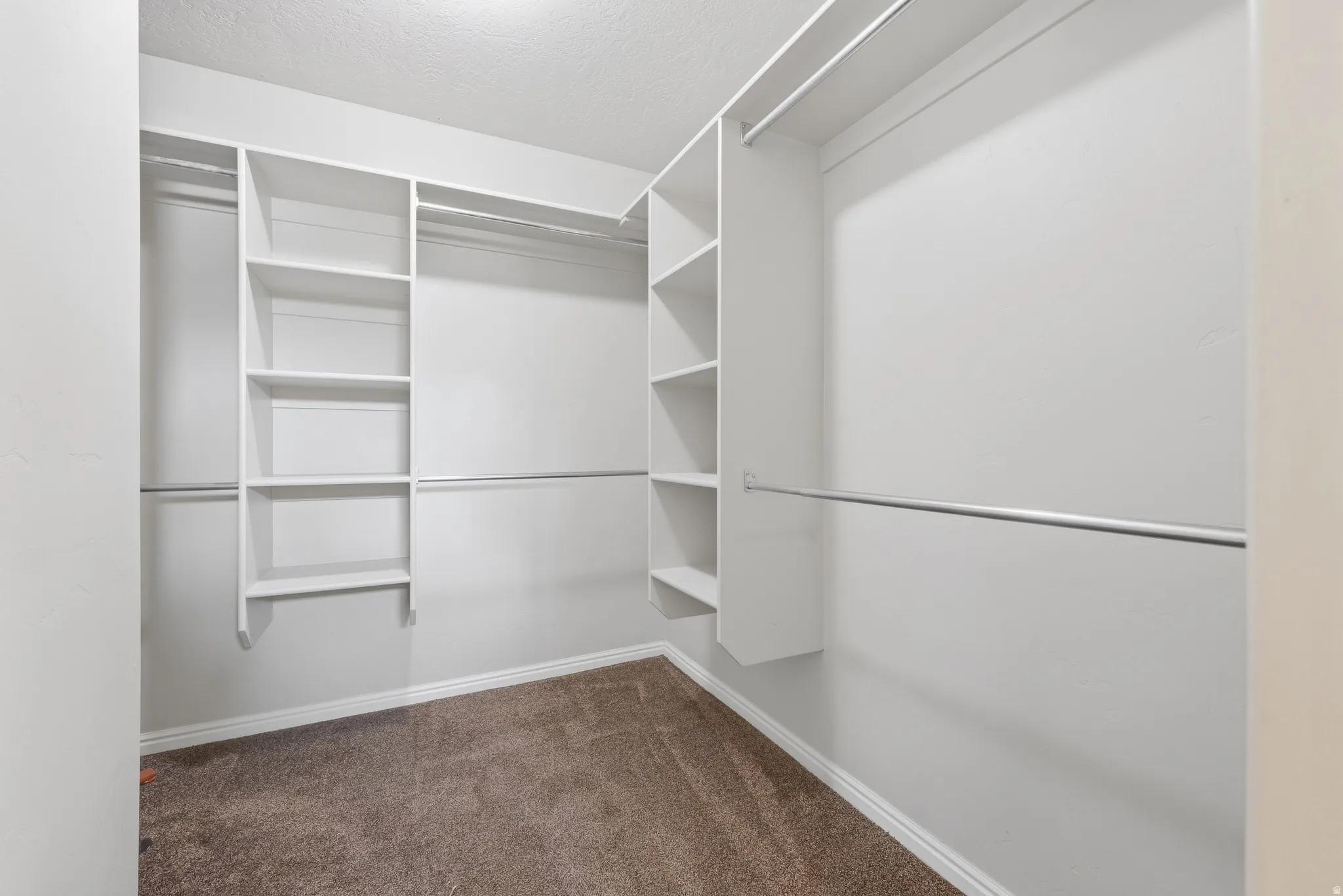 Walk-in closet featuring built-in shelving, multiple hanging rods, and carpet flooring