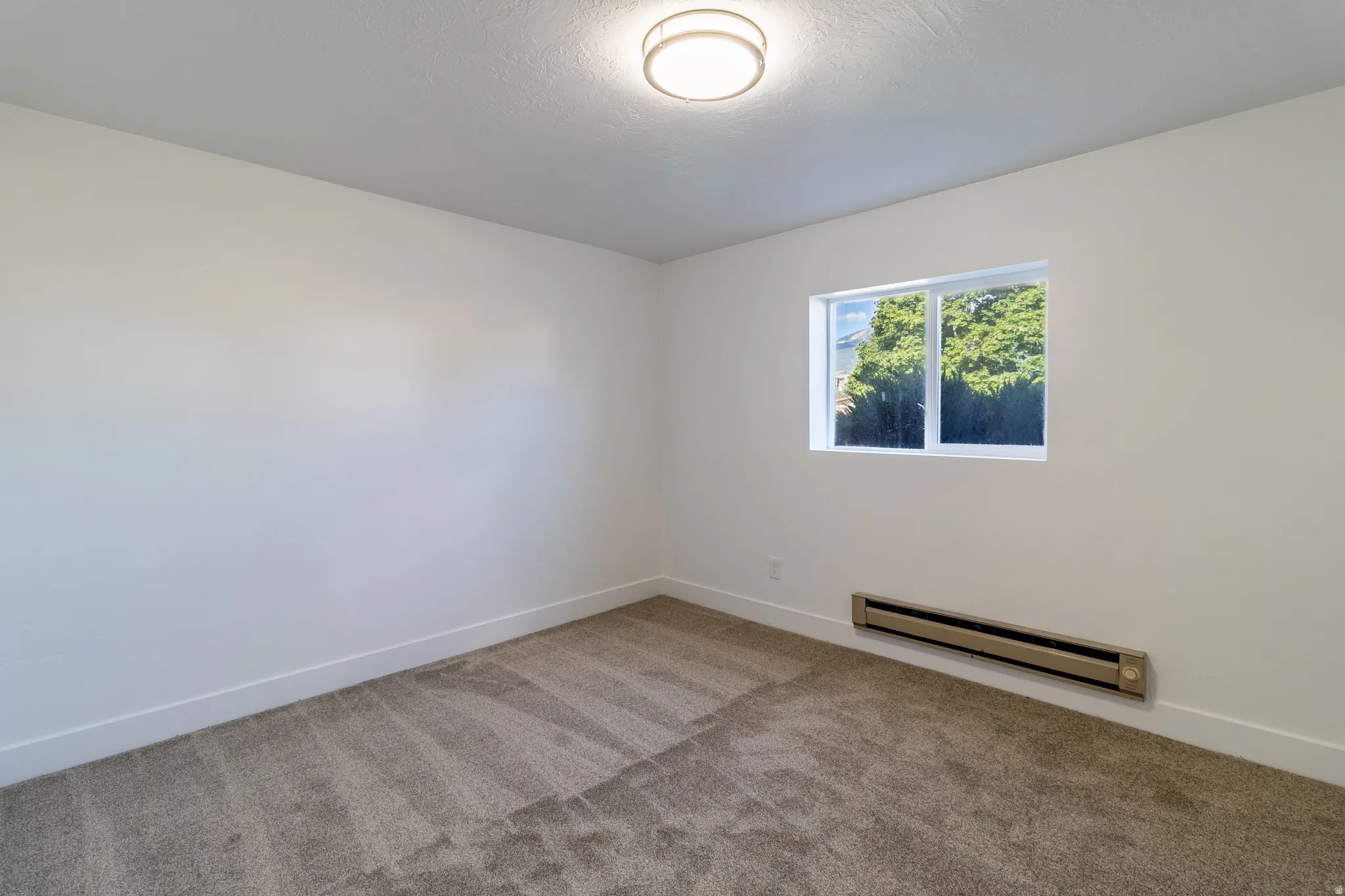 Plush carpet flooring, neutral paint palette, flush mount ceiling light, white trim, and a window with natural light
