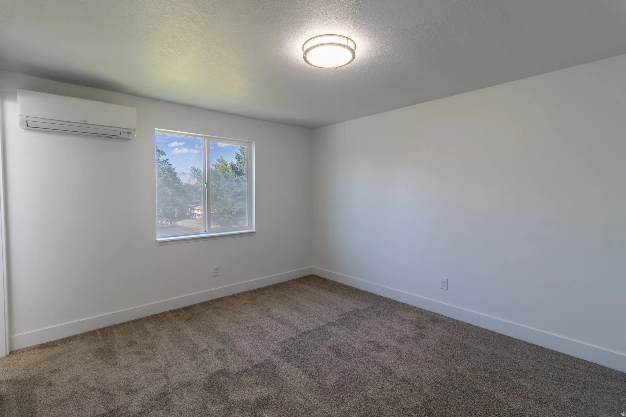 Neutral wall paint, plush carpet flooring, window with natural scenery, ceiling-mounted light fixture, and wall-mounted climate control unit