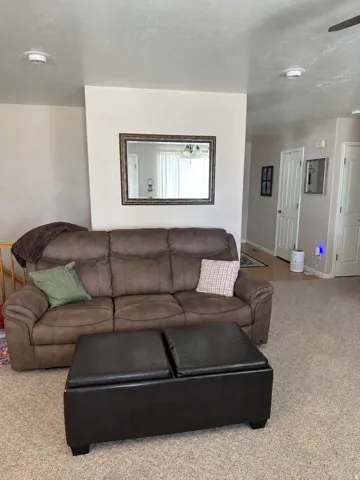 Carpeted flooring extending through the space