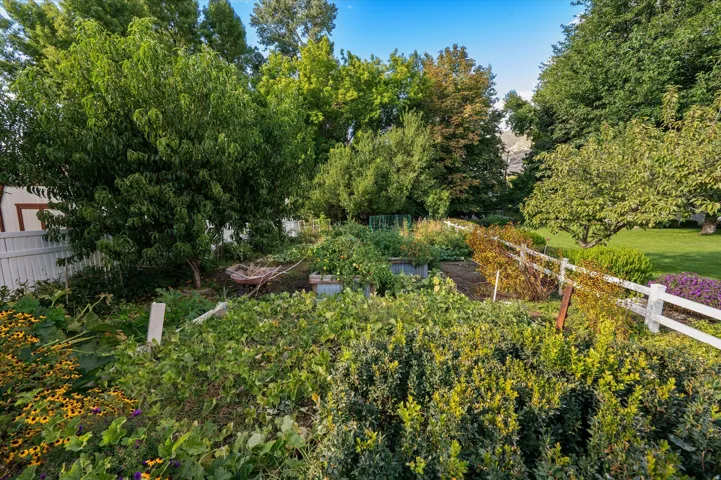 Expansive garden area featuring diverse plantings, perimeter fencing, and mature trees