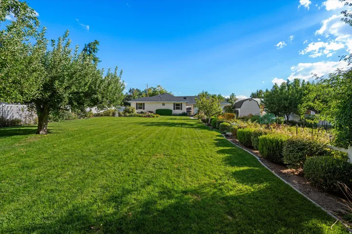 Expansive rear yard with a manicured lawn, established landscaping, mature trees, and a white fence