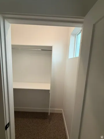 Walk-in closet featuring carpet flooring, a high-level window, and built-in shelving with a hanging rod