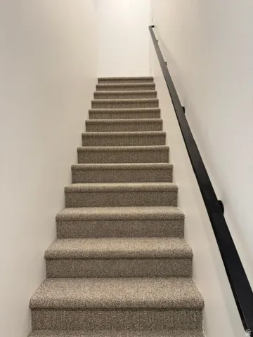Carpeted staircase with light-toned wall finishes and a dark-toned handrail