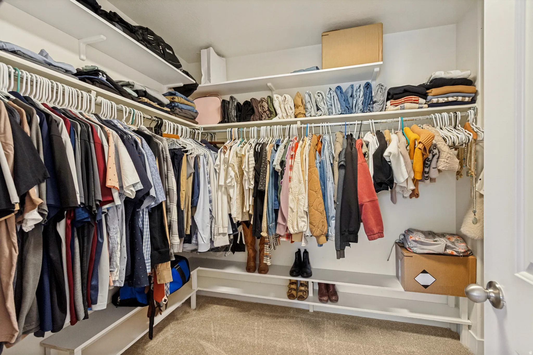 Walk-in closet with carpet flooring, white walls, and built-in shelving