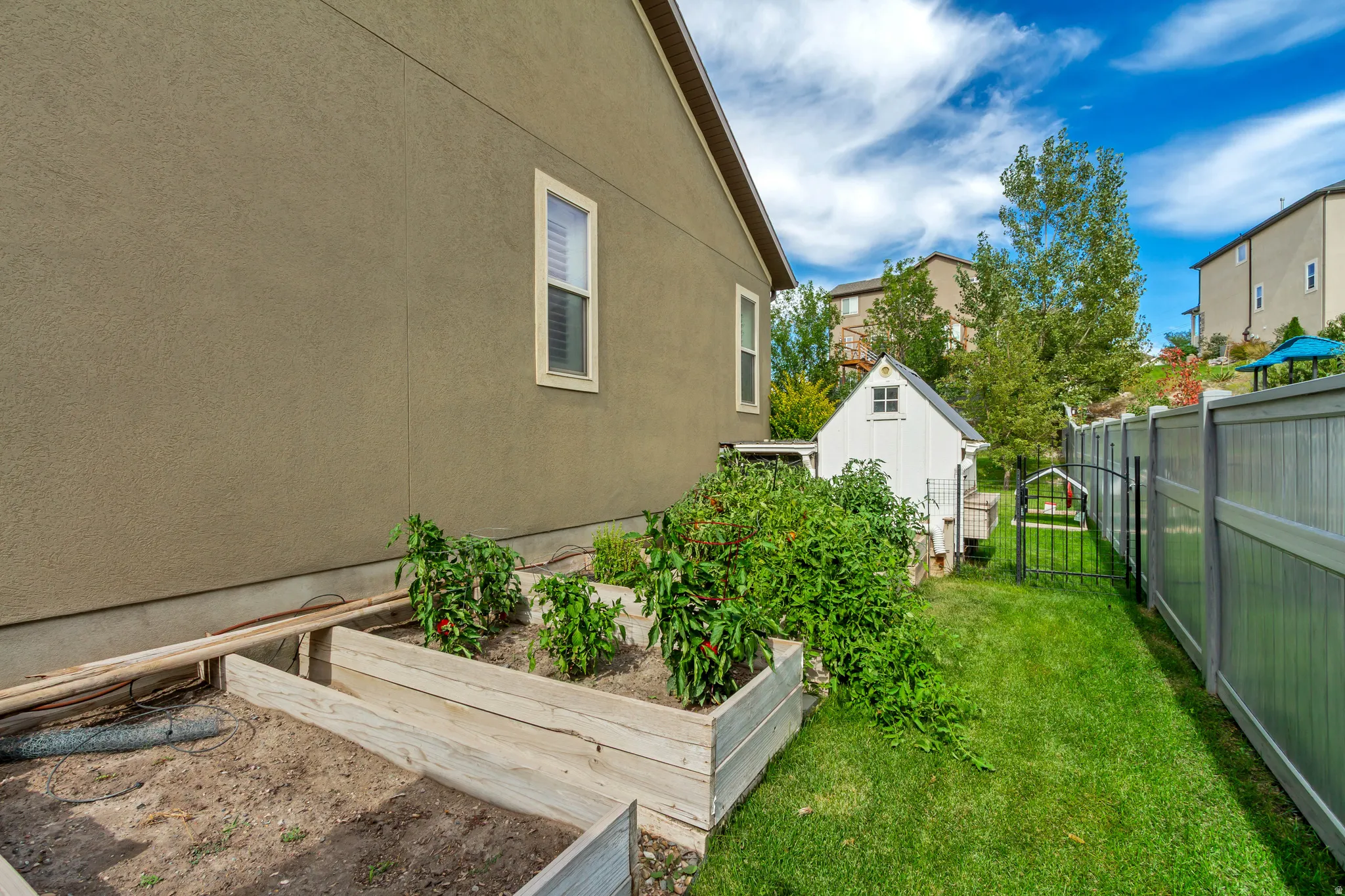 Raised garden beds with established plants, green lawn, and a white storage shed